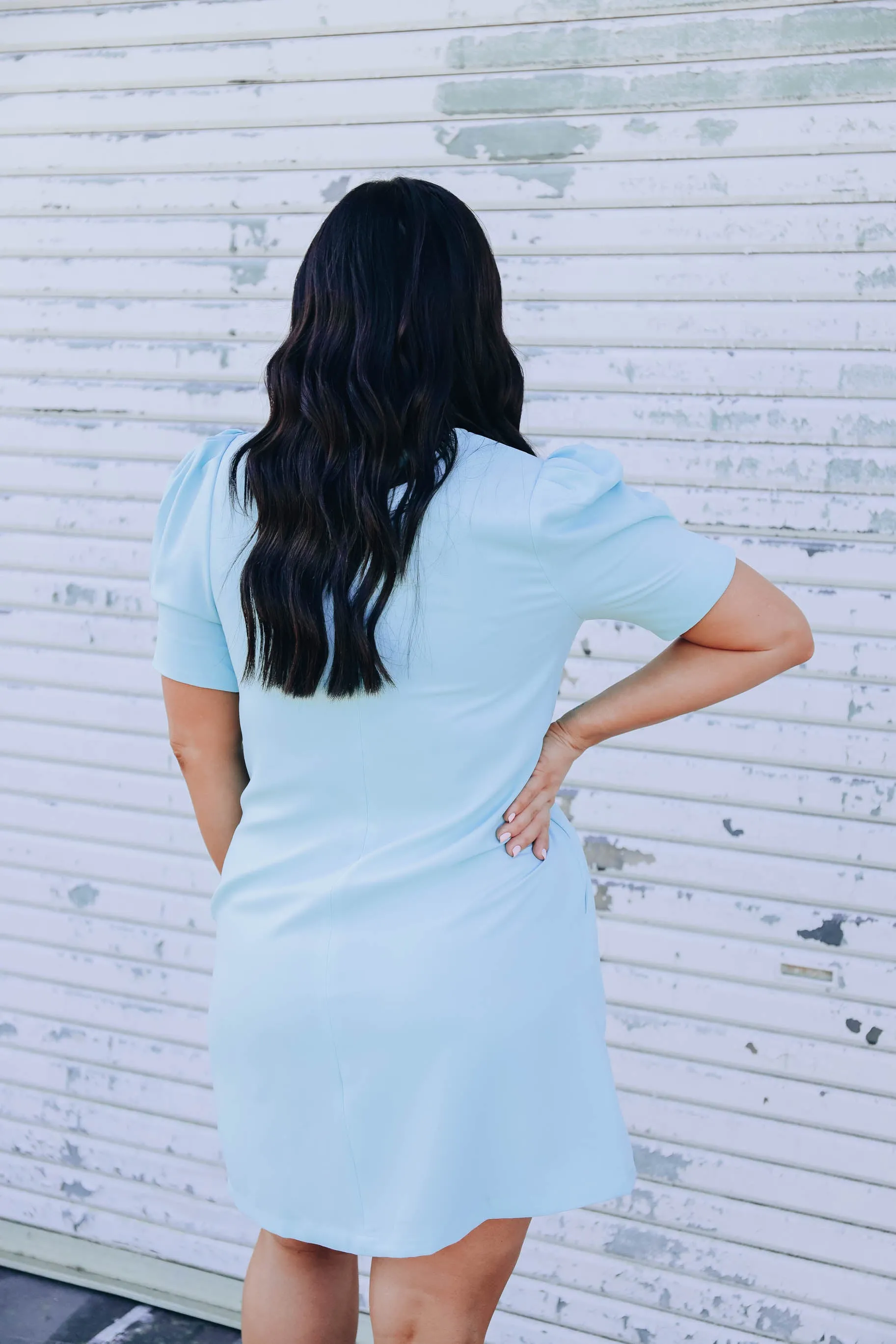 Classy N Timeless Sheath Dress