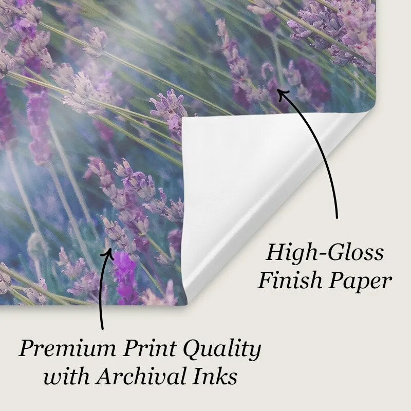 "Birch Territory" Poster Print - Multi